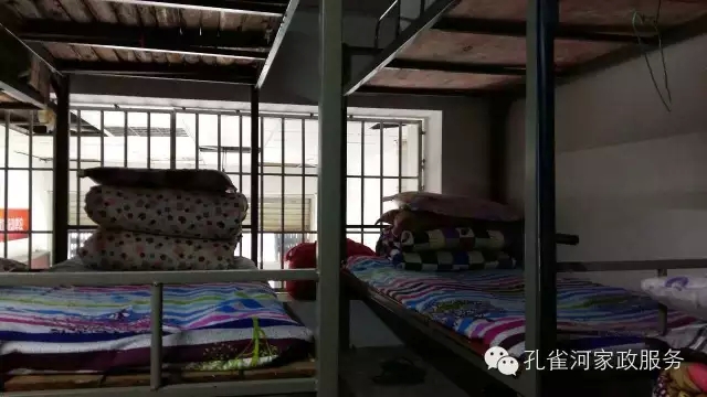 ��ȸ�Ӽ�����ķ������ů��ů��������