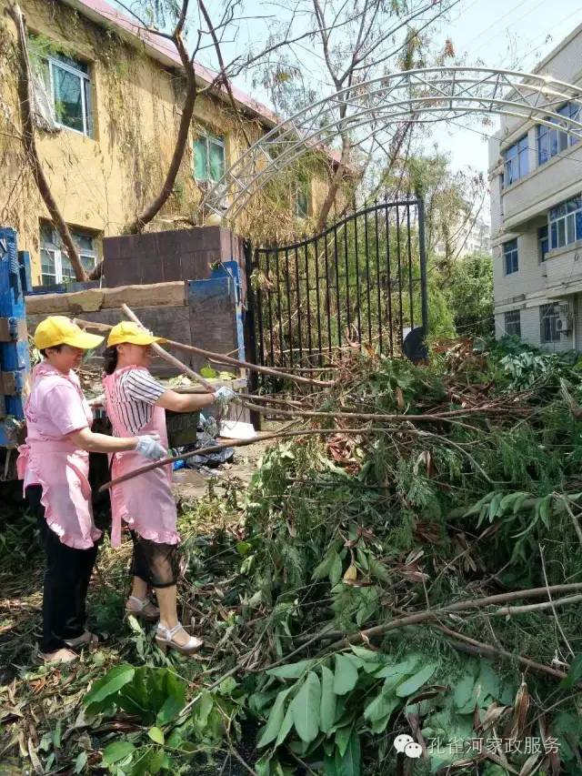 ��������y���������